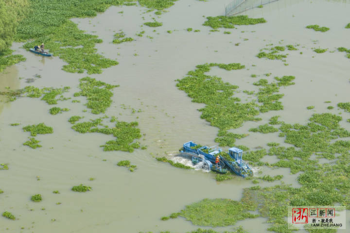 DJI_0868.jpg DJI_0868.jpg