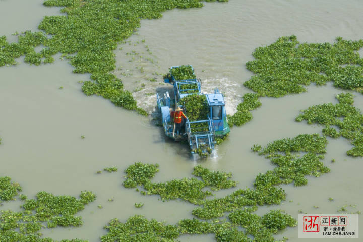 DJI_0879.jpg DJI_0879.jpg