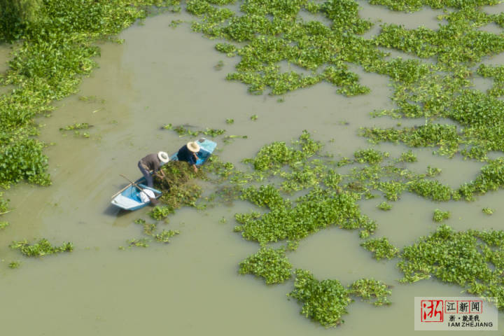 DJI_0877.jpg DJI_0877.jpg