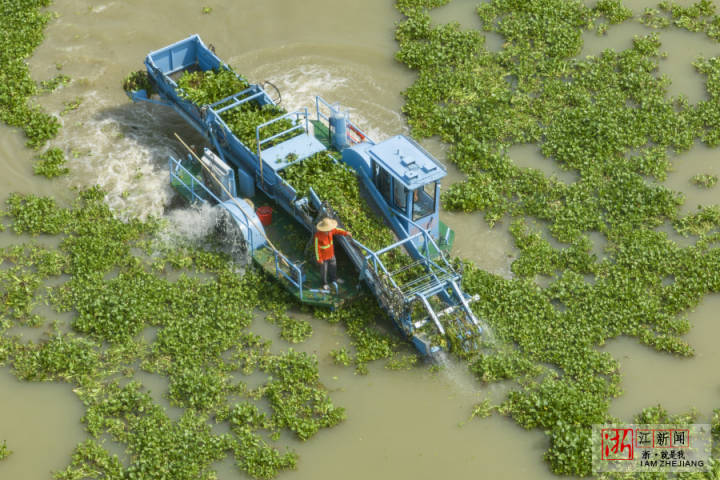 DJI_0865.jpg DJI_0865.jpg