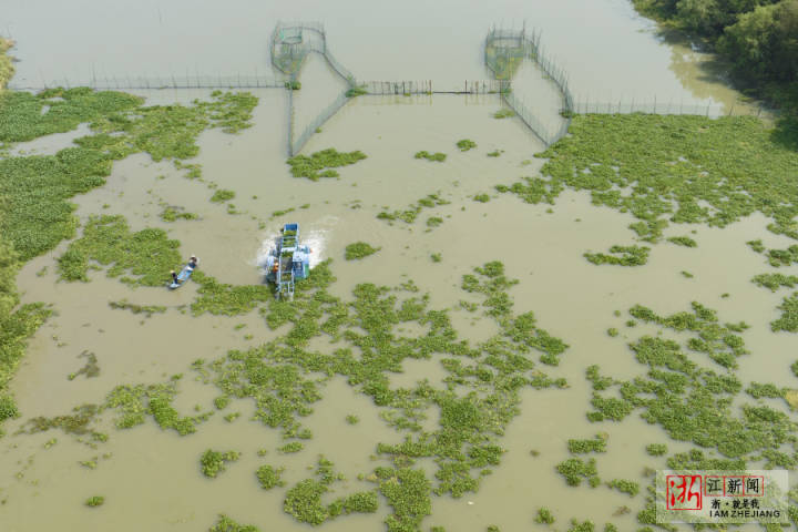 DJI_0863.jpg DJI_0863.jpg